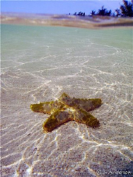 I took 20 photos using different angles so I will try not... by Steven Anderson 